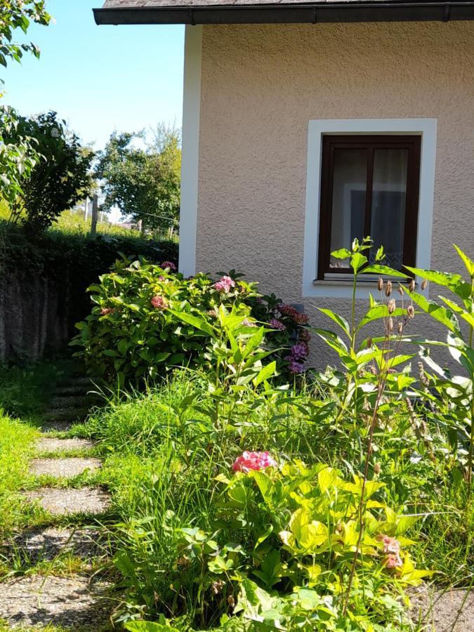 Miniponyhof Biohof Almbauer Leilighet Waidhofen an der Ybbs Eksteriør bilde